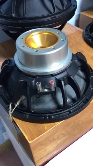 12-дюймовый ферритовый 4-дюймовый низкочастотный динамик Vc Sound Full Range