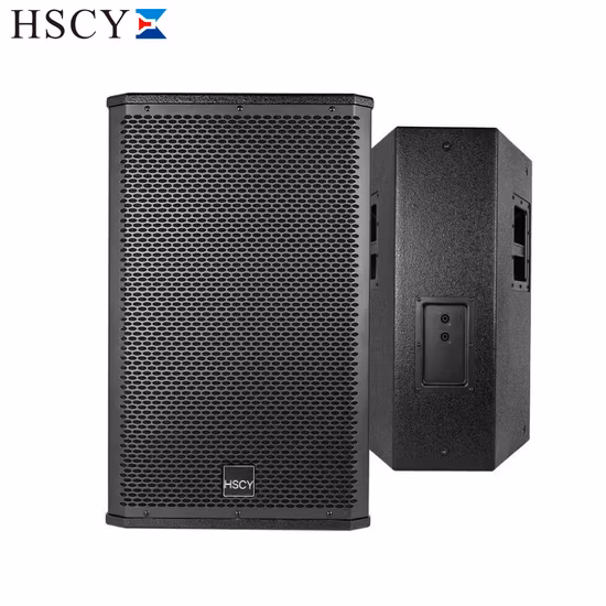 10-дюймовая пассивная профессиональная звуковая акустическая система с двухполосным активным линейным массивом