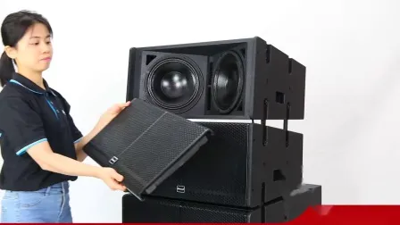 SA210 Professional Dual 10-дюймовая пассивная звуковая система с линейным массивом