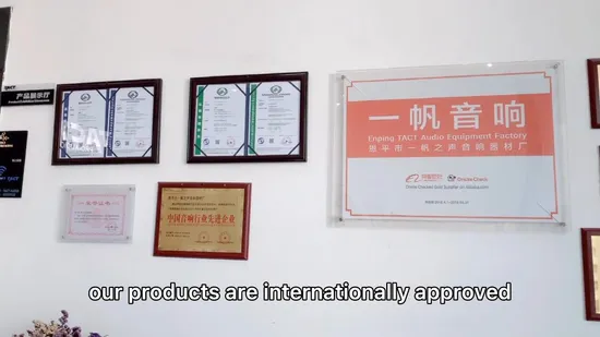 Tact Cox206 Двойная 6-дюймовая профессиональная акустическая система